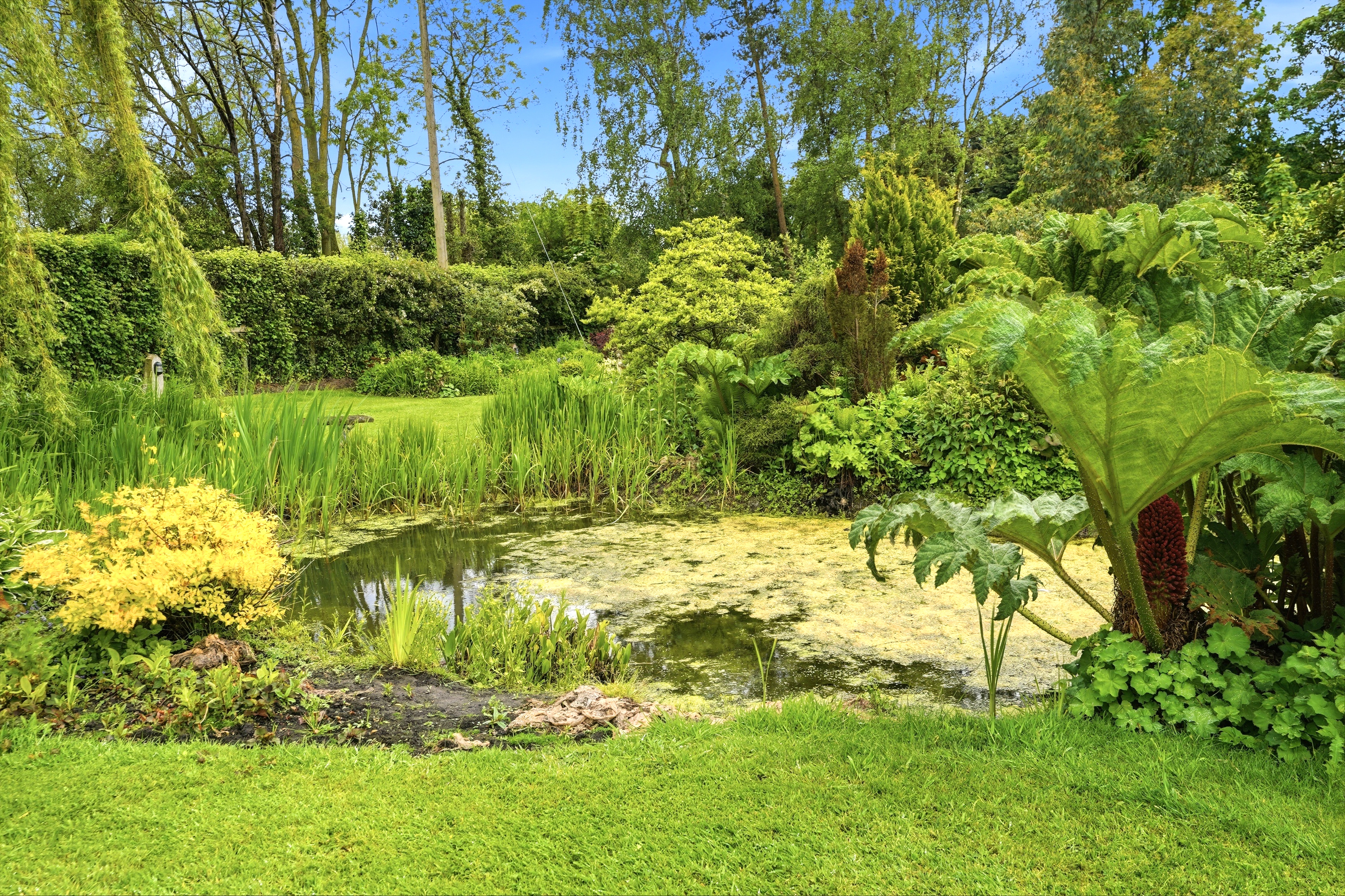 April Cottage, Main Road, Newsholme, DN14 - Photo 51