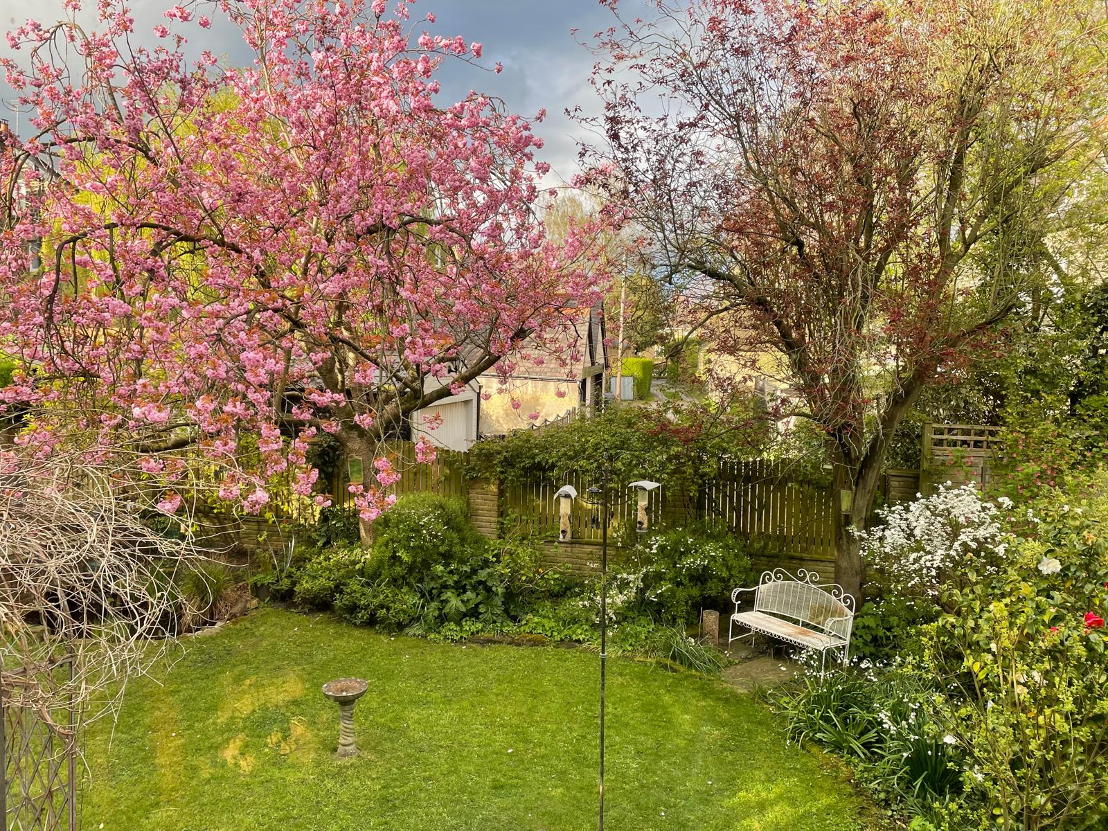 Roundhay, Leeds, LS8 - Photo 29