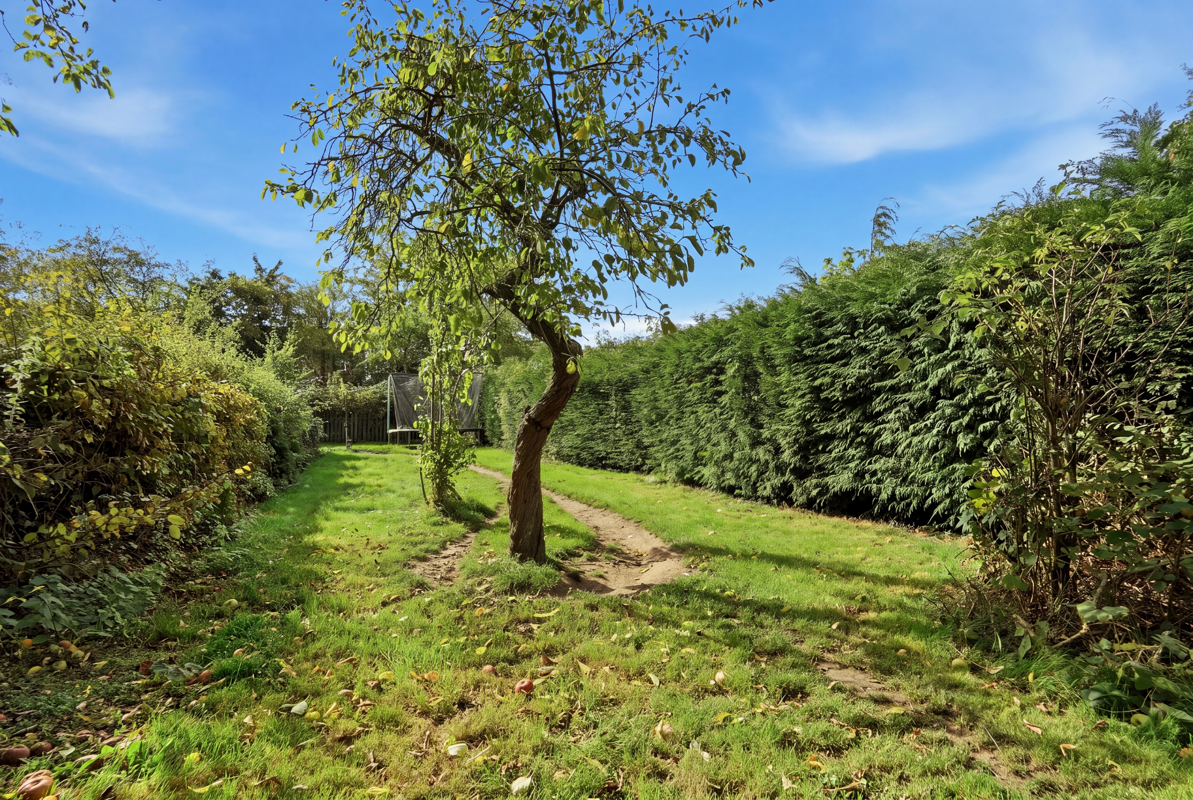 Wetherby Road, York, YO26 - Photo 12