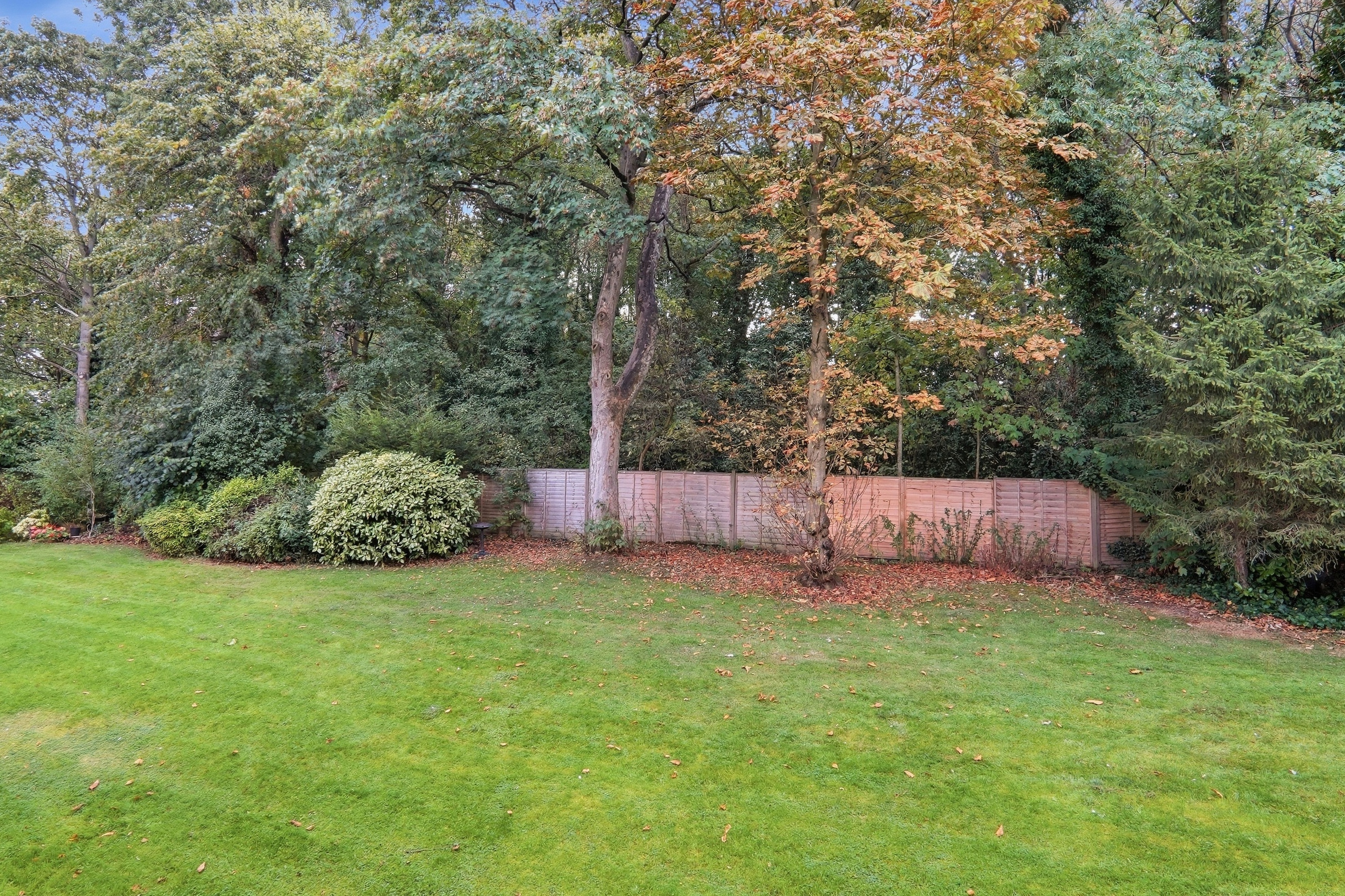 Newton Court, Roundhay, Leeds, LS8 - Photo 19