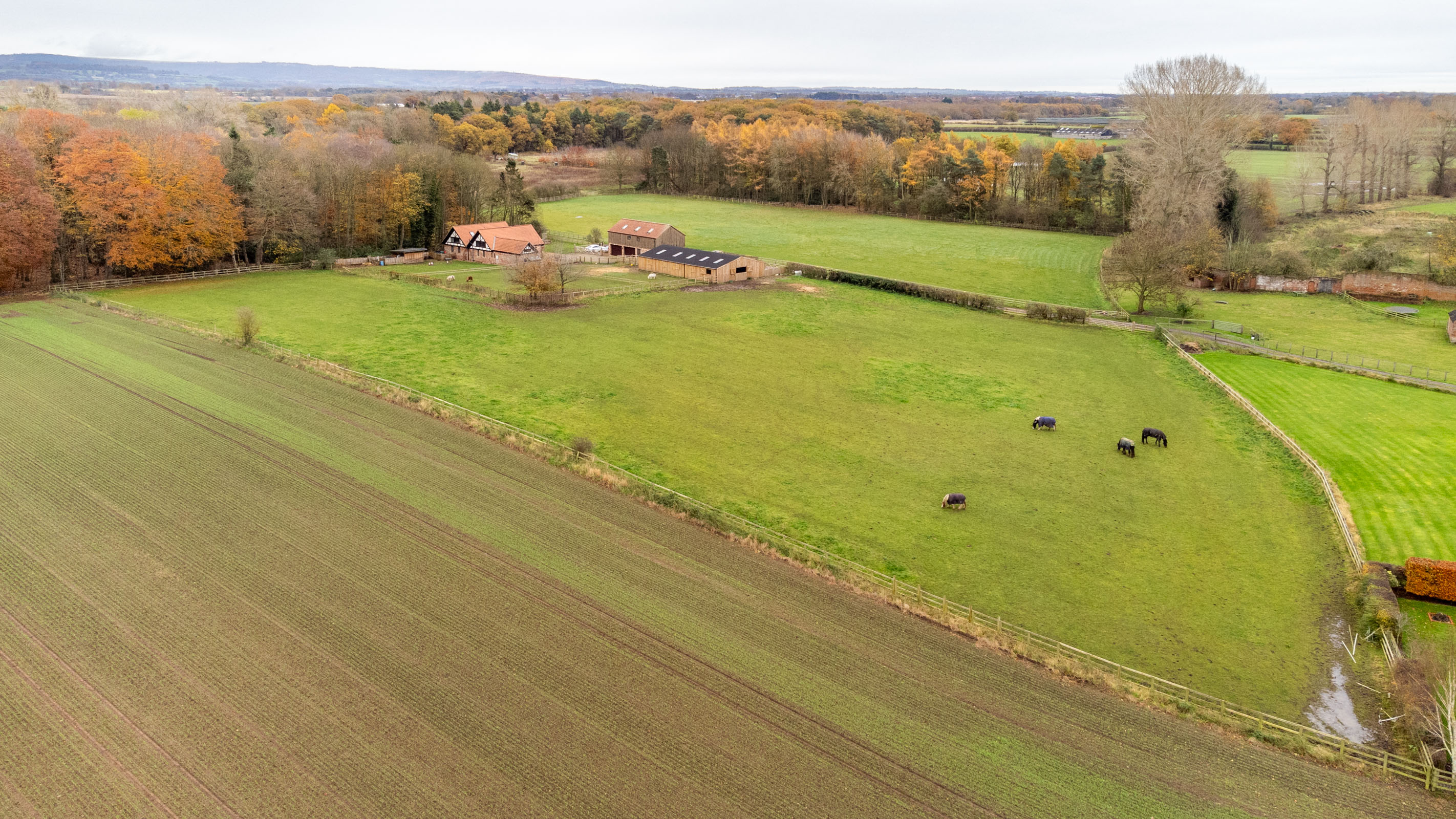 Breckenbrough Hall Track, Thirsk, YO7 - Photo 8